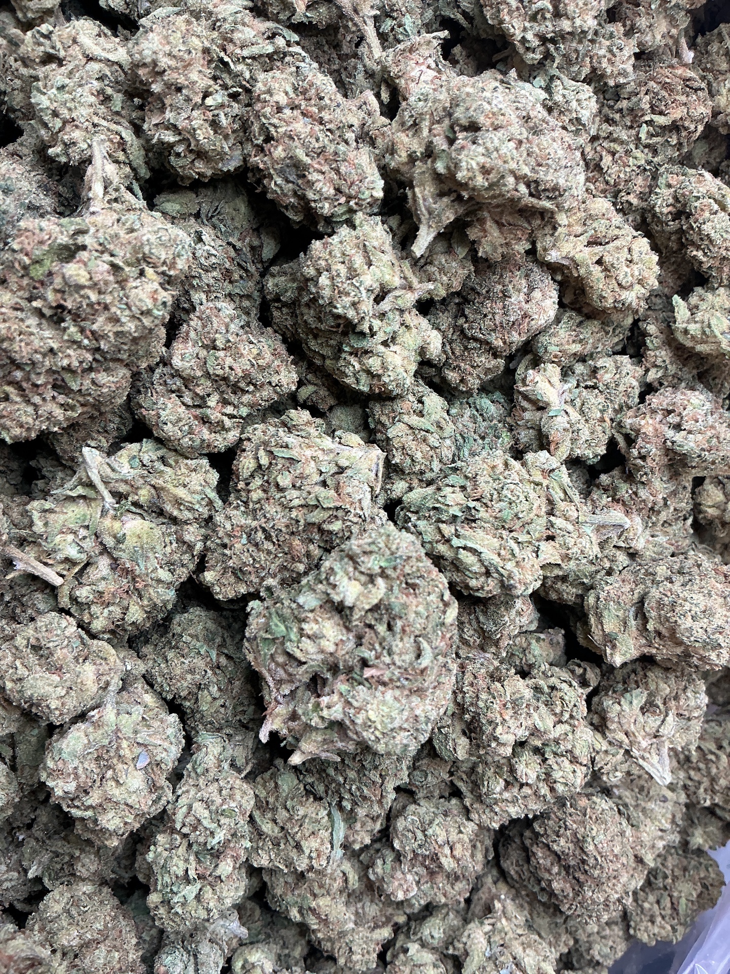 Jack THCa Flower (Indoor) / 7 Grams (1/4)